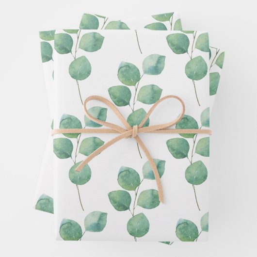 Eucalyptus Wrapping Paper Set (In situ)