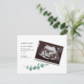 Eucalyptus Zwangerschap Geslacht Onbekend Baby Son (Staand voorkant)