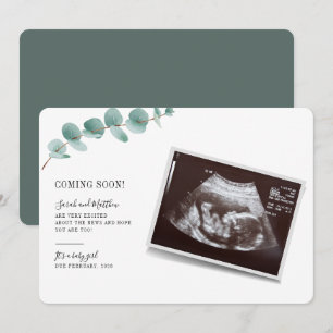 Eucalyptus Zwangerschaps Baby Openbaring Aankondig