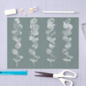 Eucalyptusbladeren Tissuepapier (Craft)