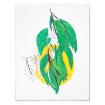 Eucalyptusbladprint