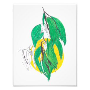 Eucalyptusbladprint Foto Afdruk