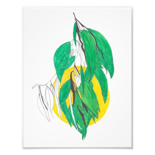 Eucalyptusbladprint Foto Afdruk (Voorkant)