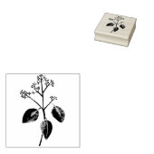 Eucalyptusbloem Rubberstempel (Gestempeld)