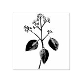 Eucalyptusbloem Rubberstempel (Afrduk)