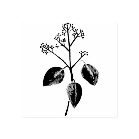 Eucalyptusbloem Rubberstempel (Afrduk)