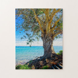 Eucalyptusboom op de Stille Oceaan Legpuzzel