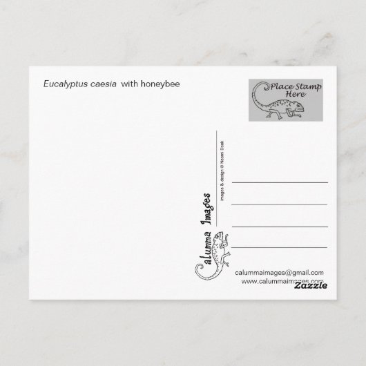 Eucalyptuscaesia met honingbijen briefkaart (Achterkant)