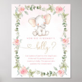 Eucalyptusolifant hoe groot is het buikspel van ma poster (Voorkant)