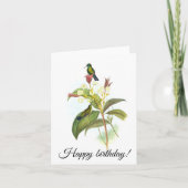 Eucephala caerulea (blauw-chinned Sapphire) Kaart (Voorkant)