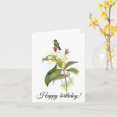 Eucephala caerulea (blauw-chinned Sapphire) Kaart (Gele Bloem)