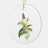 Eucephala caerulea (blauw-chinned Sapphire) Keramisch Ornament (Links)