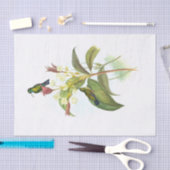 Eucephala caerulea (blauw-chinned Sapphire) Tissuepapier (Craft)