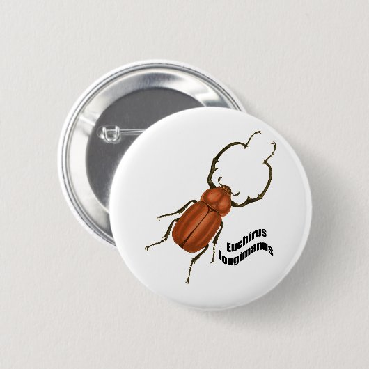 Euchirus longimanis ronde button 5,7 cm (Voorkant /achterkant)