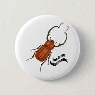 Euchirus longimanis ronde button 5,7 cm