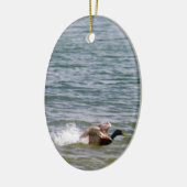 Euck Landing in Water Keramisch Ornament (Links)