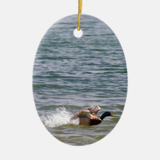 Euck Landing in Water Keramisch Ornament (Voorkant)