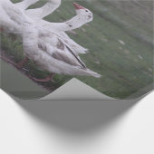 Euck Wrapping Paper Cadeaupapier (Hoek)