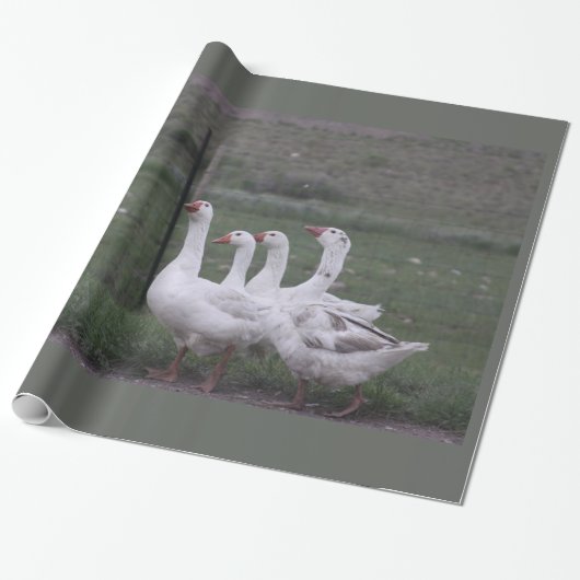 Euck Wrapping Paper Cadeaupapier (Uitgerold)