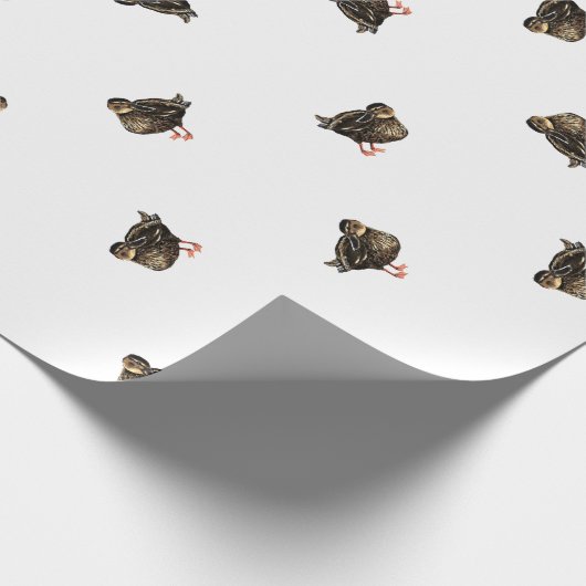 Euck Wrapping Paper Cadeaupapier (Hoek)