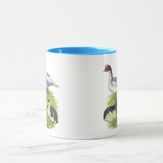 Eucks Blue Pied Muscovy Family Mok (Midden)