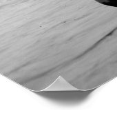 Euclides, Cleveland, 1905 Poster (Hoek)