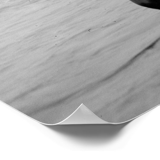 Euclides, Cleveland, 1905 Poster (Hoek)