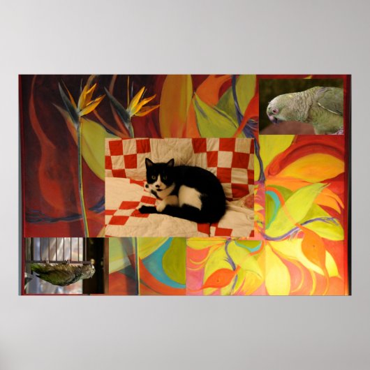 Euclids droom poster (Voorkant)