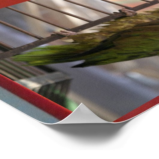 Euclids droom poster (Hoek)