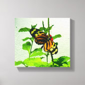 Eueides Isabella Canvas Afdruk (Voorkant)