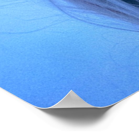 euforie poster (Hoek)