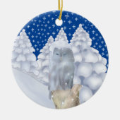 Eule im Schnee Keramisch Ornament (Voorkant)