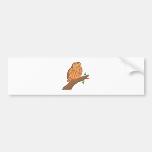 Eule Kauz Sägekauz Saw-whet owl Bumpersticker (Voorkant)