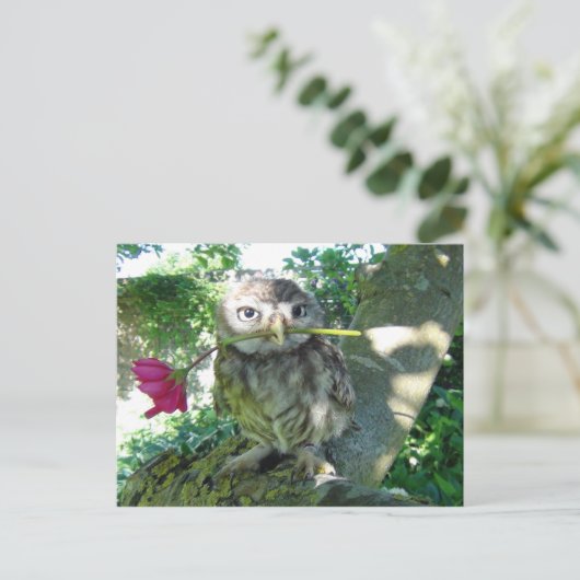 Eule mit Roos Briefkaart (Staand voorkant)