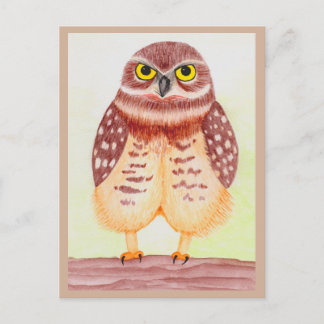 Eule Postkarte Briefkaart