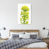 Euphorbia Canvas Afdruk (Insitu (Slaapkamer))