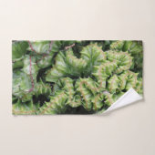 Euphorbia Handdoek (Handdoek)