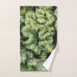Euphorbia Handdoek
