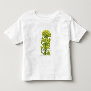Euphorbia Kinder Shirts