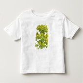 Euphorbia Kinder Shirts (Voorkant)