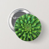 Euphorbia Medusa Green Cactus Succulent Ronde Button 5,7 Cm (Voorkant /achterkant)