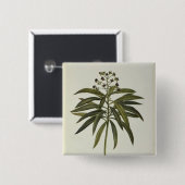 Euphorbia Mellifera Vierkante Button 5,1 Cm (Voorkant /achterkant)