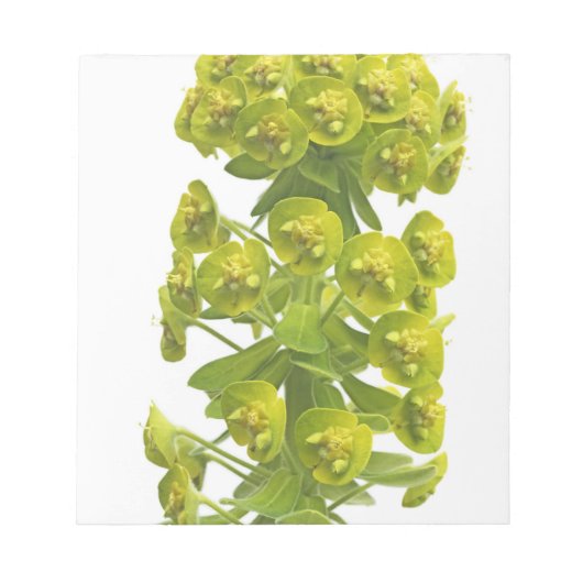Euphorbia Notitieblok (Voorkant)