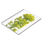 Euphorbia Notitieboek (Linkerzijde)