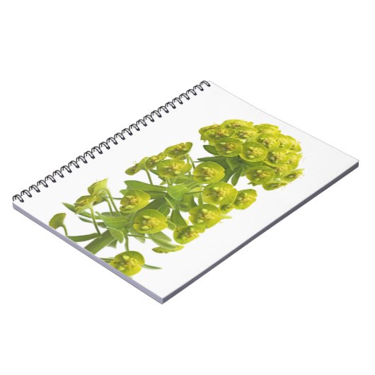 Euphorbia Notitieboek (Linkerzijde)