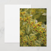 Euphorbia Notitiekaartje (Voorkant / Achterkant)