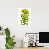 Euphorbia Poster (Thuiskantoor)