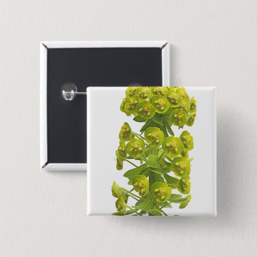 Euphorbia Vierkante Button 5,1 Cm (Voorkant /achterkant)