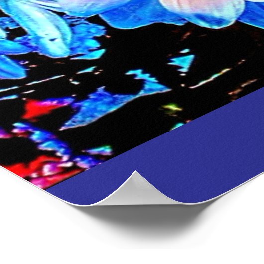 Euphoric Flowers  Poster (Hoek)