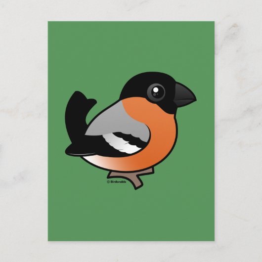 Eurasian Bullfinch Briefkaart (Voorkant)